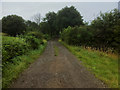 Track towards Brockhurst Farm