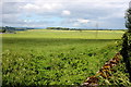 Pasture Fields at Cales Farm