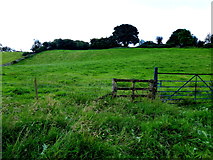 H3479 : Grassy fields, Envagh by Kenneth  Allen