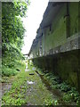 Derelict building at Wenford Dries