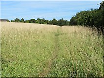 SU6051 : Wild corner of Giddings Field (106 acres) by Mr Ignavy