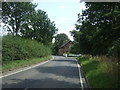 Upland Road towards Thornwood Common