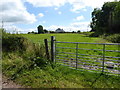 Gate, Tattyreagh Glebe