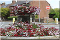 Flower Bed, Dumfries