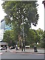 Upper Woburn Place at the corner of Euston Road