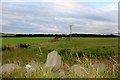 Farmland at Overhills