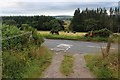 Wooded farmland at Blacktop