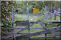 Gate on Park Lane, Horton