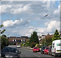 Avro Lancaster Bomber over Newcastle