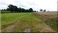 Path south from Halmore Lane