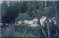 Thatched Cottage near Wherwell (1974)