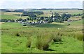 View over sheep in pastures