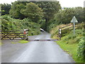 Cattle grid on the edge of Pendrift Downs