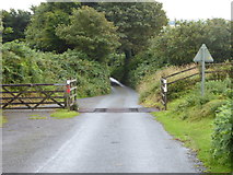 SX1074 : Cattle grid on the edge of Pendrift Downs by Rod Allday