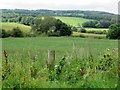 Rural landscape near Appley Bridge