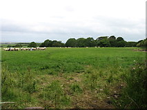 NY0840 : Farmland north of Allerby by David Purchase