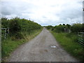 Farm track near Allonby