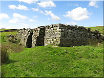 NY8442 : Lime kiln east of Clarty Lane (3) by Mike Quinn