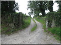 Farm drive entrance on the Mountain Road, Portaferry