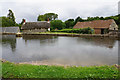 Duck pond in East Quantoxhead