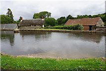 ST1343 : Duck pond in East Quantoxhead by Bill Boaden