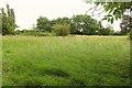 Field by Ilchester Road, Charlton Mackrell