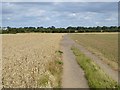 Farm track near Merrybent