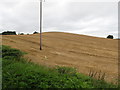 Harvested drumlin land east of Thomastown House