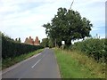 Hunton Road, near Marden