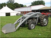 TG1823 : TEF 20 Ferguson tractor with top loader by Evelyn Simak