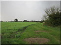 Uncultivated strip alongside Bowlams Dike