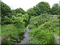 The Longford River at Two Bridges