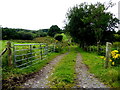 Rough lane, Kilgreen Lower