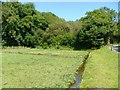 West Lea watercress beds