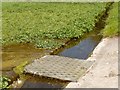 West Lea watercress beds