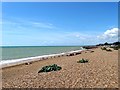 Ferring Beach