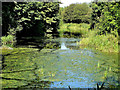 Barnsley Canal