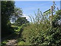 SZ5988 : Public Bridleway B19 to Great Upton, Isle of Wight by Paul Coueslant