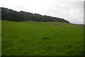 Fields outside Bainbridge