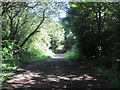 Trans Pennine Trail towards Bentley