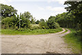 Public Bridleway off lane to Ossington