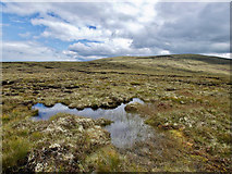 NH5981 : Wet hillside of Cnoc Leathad na Siorramachd by Julian Paren