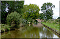 Llangollen Canal near Burland in Cheshire