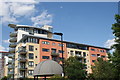 View of apartments next to Sir John McDougal Gardens from the Thames Path