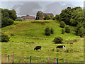 Farmland at Burrs