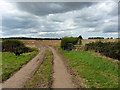 SJ6015 : Hedges, a gate and a bridge over a field drain by Richard Law