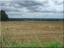 TL4574 : Stubble field off Aldreth Road by JThomas