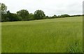 SK4237 : Field footpath near Ockbrook by Alan Murray-Rust