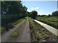 Common Moor Drove, looking south west