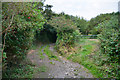 The Mumbles : Footpath